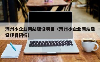 潮州小企业网站建设项目（潮州小企业网站建设项目招标）