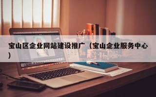 宝山区企业网站建设推广（宝山企业服务中心）