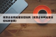 湘潭企业网站建设招标网（湘潭企业网站建设招标网官网）