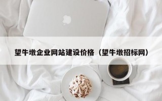 望牛墩企业网站建设价格（望牛墩招标网）