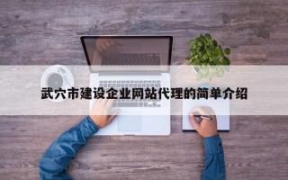 武穴市建设企业网站代理的简单介绍